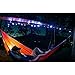 ENO, Eagles Nest Outfitters Twilights Camp Lights/Hammock Lights, 20 LED Lights, Water Resistant, White Light