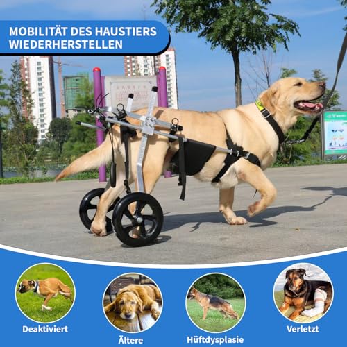 Aluminium-Rollstuhl für große Hunde, Rollstuhl für große Haustiere, 2 verstellbare Hinterbeine, Hundeverschieber für Hinterbeine, geeignet für 30-50 cm Hinterbeine, 20 bis 30 kg Hunde(XL)
