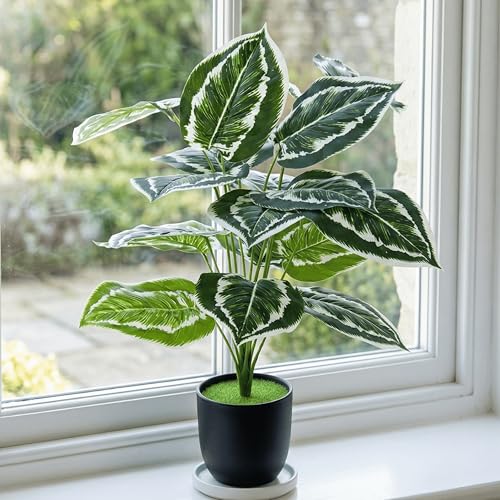 Image of Dekorly Plastic Artificial Palm Plants Leaves Faux Turtle Leaf Fake Monstera Tropical Large Palm Tree Leaves Outdoor Leaf Decorations | 26Inch Plants with Blackpot (Calathea)