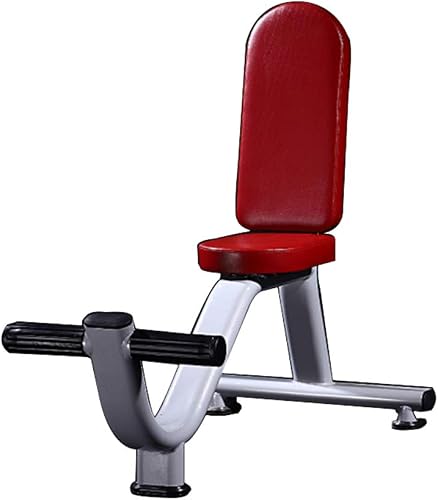 Standard weight-bench