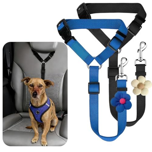 LAKPYN 2 Pezzi Cintura di Sicurezza per Cani Auto, cintura sicurezza cani auto, Imbracatura Regolabile con Guinzaglio - Cintura per Cane con Ammortizzazione Elastica per Trasporto Sicuro in Viaggio