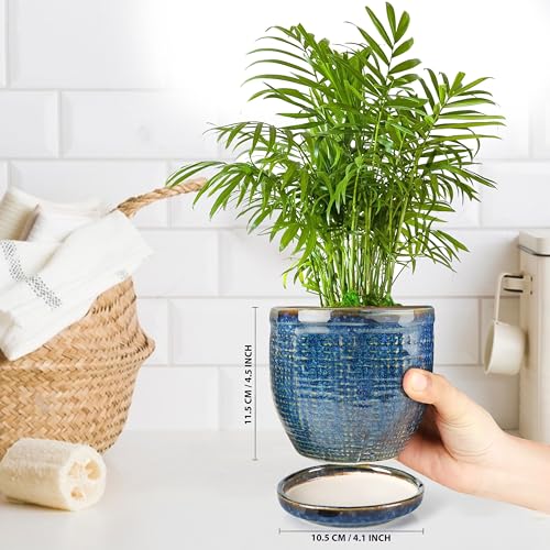 Image of Ceramic Indoor Plant Pots, Ceramic Flower Pots for Home Decoration, Planters, Ceramic Pots with Tray Set (Blue, 5 inches, Set of 2 Indoor Planters)