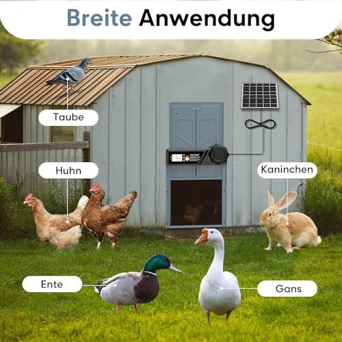 CHAMUTY Große Automatische Hühnerklappe Solar, Elektrische Hühnerklappe Automatisch mit Timer, 7W Solarpanel, LCD Display, Fernbedienung, Automatische Hühnerstalltür Hühnertür, Einklemmschutz