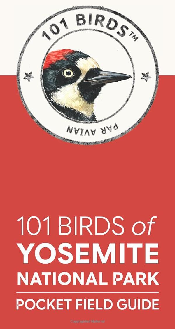 101 Birds of Yosemite National Park: Pocket Field Guide (101 Birds Pocket Field Guides)