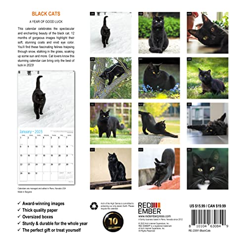 Red Ember Black Cats 2023 Hangable Monthly Wall Calendar | 12" X 24" Open | Thick & Sturdy Paper | Giftable | Cute Kitten | A Year Of Good Luck #TOP2