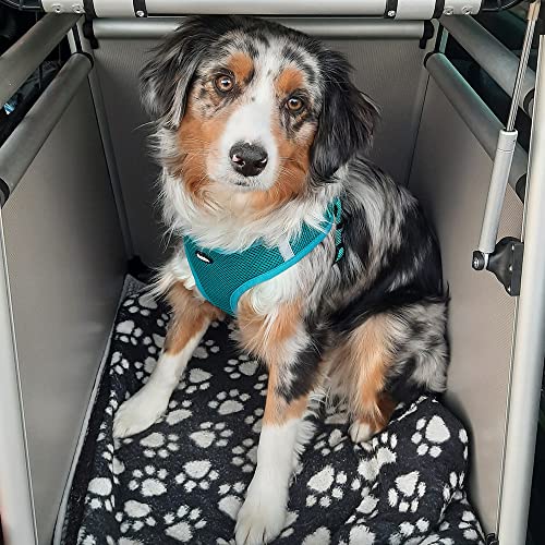 Nobby Aluminium Carbox ROUND CORNER B x T x H: 59 x 55 x 49 cm