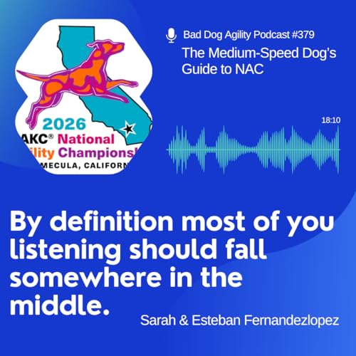 379: The Medium-Speed Dog's Guide to NAC