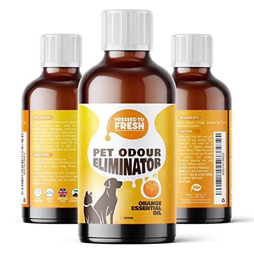 dog urine neutraliser