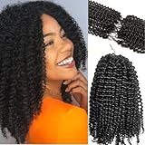 Feather Crochet Knotless Pre-Separated Crochet Hair Extensions Kinky curly 100% Human Hair Crochet Braid Hair Extensions Natural Color 20Inch 120g
