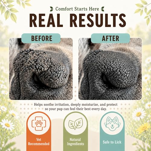 Natural Dog Company Snout Soother Dog Nose Balm, 0.15 oz Travel Stick | Moisturizer for Dry Crusty Noses, Coconut Oil & Shea Butter, Summer Care for Outdoor Dogs, Hot Weather & Beach Days