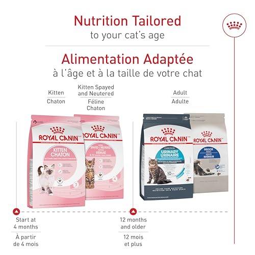Royal Canin Feline Health Nutrition Dry Kitten Food, Supports Digestive Health, Immune Support and Healthy Energy, 3 lb Bag image 7