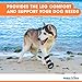 Walkin' Pet Splint for Dogs | Front Leg Foot Splint for Dogs with Arthritis and Injuries