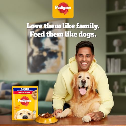 Image of Pedigree Adult Wet Dog Food, Chicken & Liver Chunks in Gravy, 70 g, Made with Real Meat Protein, 100% Complete & Balanced Meal for Adult Dogs (Pack of 6)