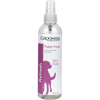 airtight dog treat container