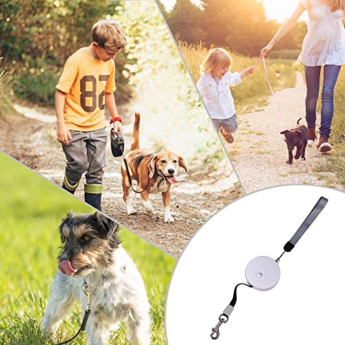 3m/9.8ft Hundeleine, Einziehbare Kleine Hunde Rollleine, Tragbar Automatische Dog Leash für Kleine Hunde, Katzen, Welpen, Kaninchen bis zu 5 kg(Arm-Band Farbe Zufällig)