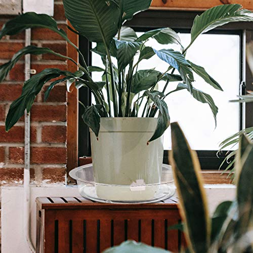 Rocutus Plant Saucer,20 Pack Plastic Plant Saucer Drip Trays Small Plant Plate Dish,Heavy Duty Clear Plastic Plant Saucers Flower Pot Tray Flower Pot Drip Pan For Indoor And Outdoor Plants (12 Inch) #TOP3