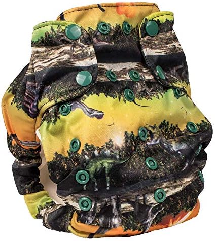 Cloth Diaper - Smart Bottoms Smart One 3.1 - All-in-One