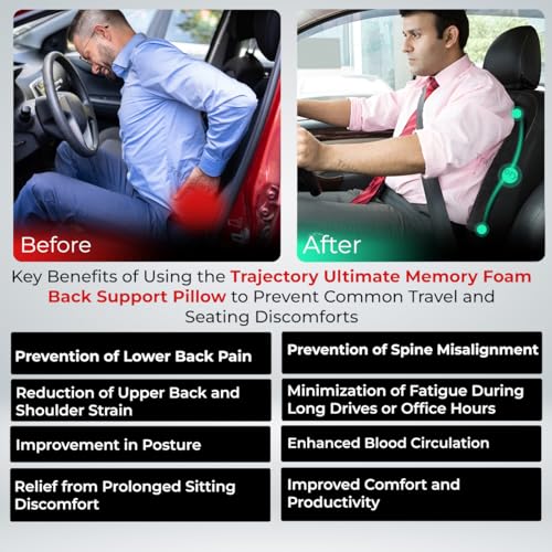 Image of Trajectory Backrest Pillow with ADVANCEDX Memory Foam & GRIDMATRIX Fabric for Superior Back Pain Relief, Posture Support, and All-Day Comfort - Ideal for Men & Women (Black)