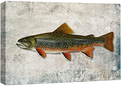 wall26 Framed Canvas Print Wall Art Trout Fish on Granite Background Marine Life Animals Digital Art Realism Nautical Scenic Colorful Ultra for Living Room, Bedroom, Office - 32"" x 48""