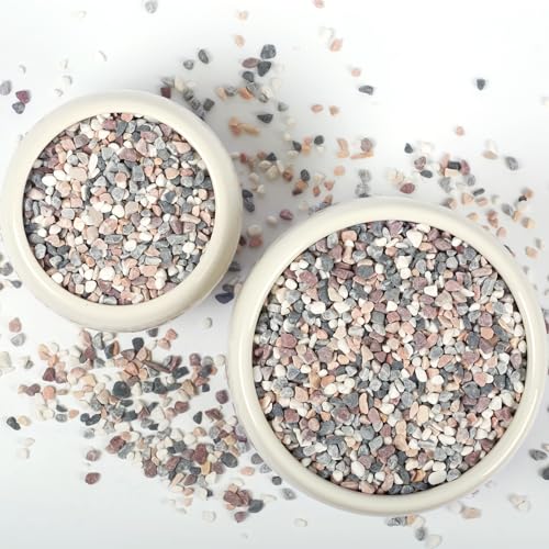 Image of 2lbs Natural Gravel Pebbles for Succulents and Cacti, 1 /5 Inch Decorative River Stones - Perfect for Vases, Aquariums, Terrariums, and Outdoor Gardening, Mixed Colors (Mixed, 2 Pounds)