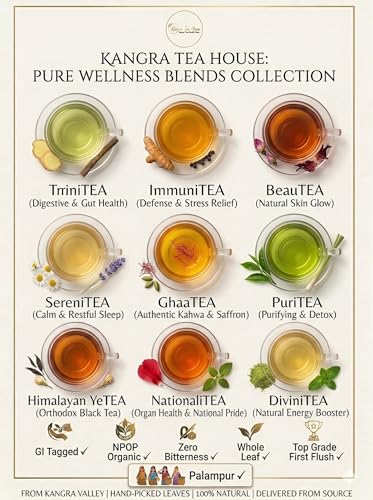 Image of Kangra Tea House PuriTEA (20g) Artisanal Whole Leaf Green Tea | GI Tagged & NPOP Organic Certified | Holistic Detox & Weight Management Blend | First Flush, 0 Bitterness | From Palampur, Himachal Pradesh