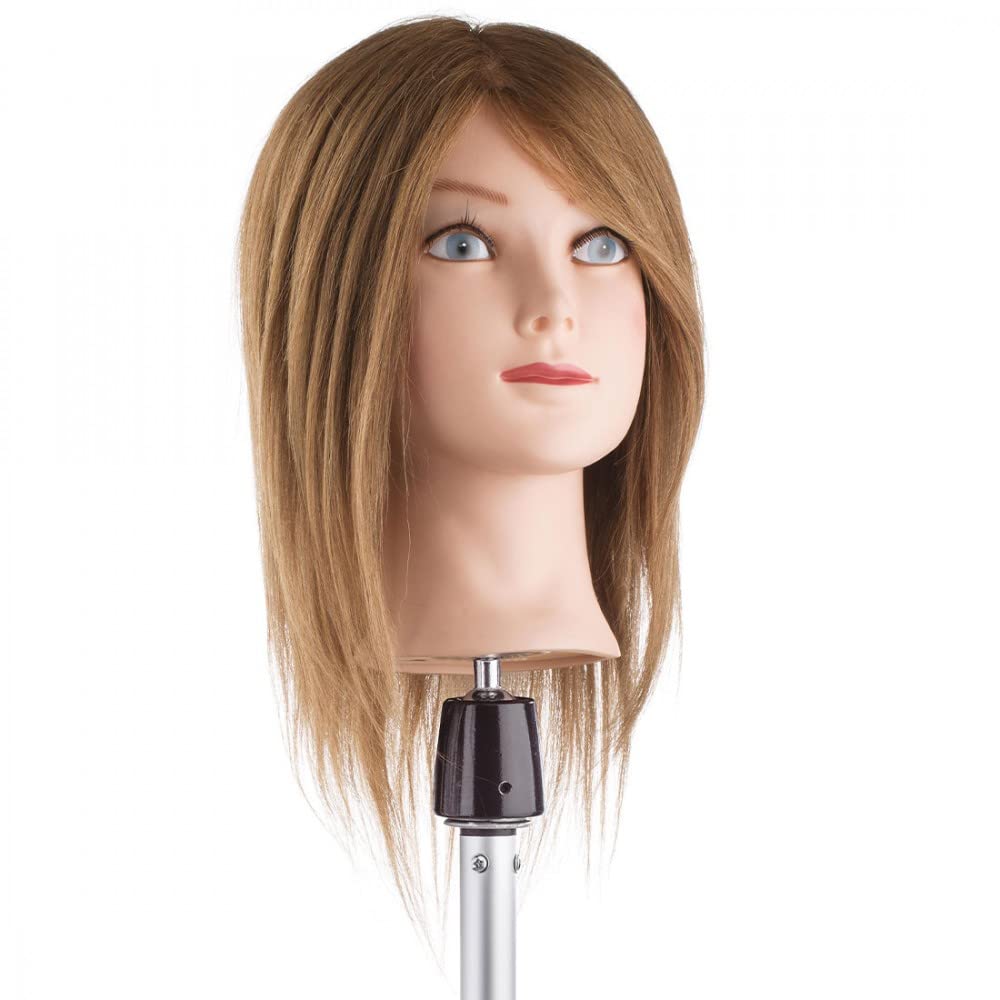 Testa di apprendimento naturale per capelli al 100%