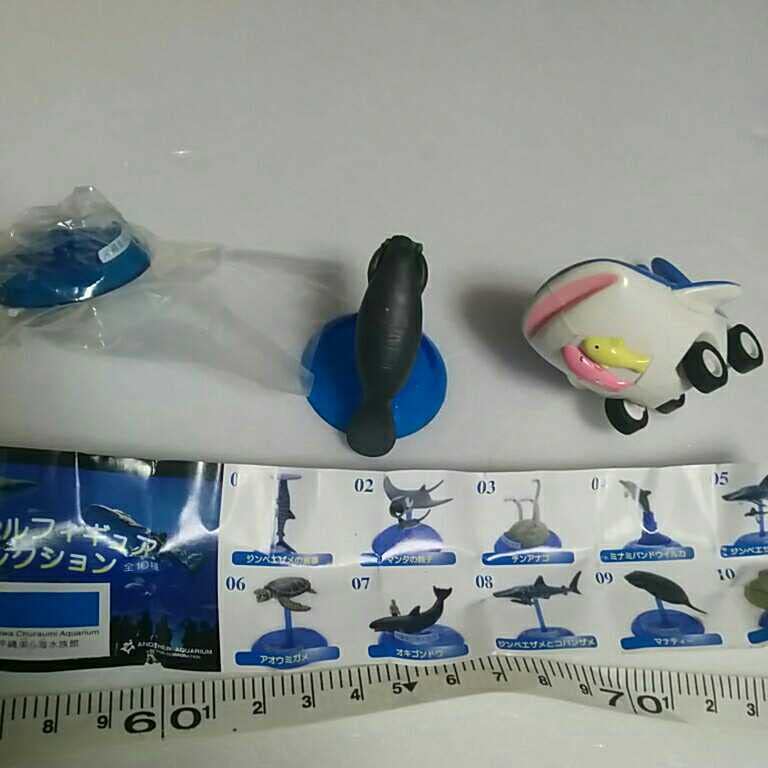 Amazon.co.jp: 沖縄美ら海水族館 美らカー プルバック ジンベエザメ