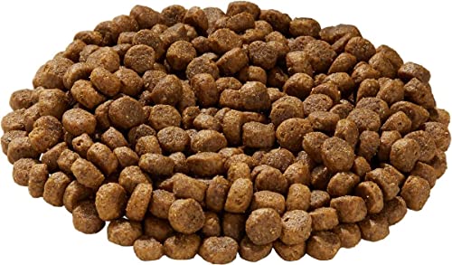 Health Extension Dry Dog Food, Natural Food With Added Vitamins & Minerals, Suitable For All Puppies, Grain Free, Salmon Recipe With Whole Vegetable & Berries (1 Pound) #TOP5