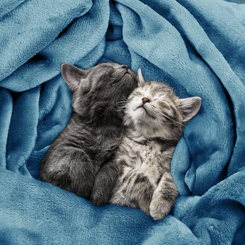 Image of Utopia Bedding Fleece Blanket King Size Washed Blue 300GSM Luxury Fuzzy Soft Anti-Static Microfiber Bed Blanket (90x102 Inch)