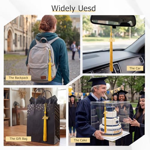 Image of GraduationMall Single&Multiple Color Graduation Tassel with 2026 Year Charm 9 inch
