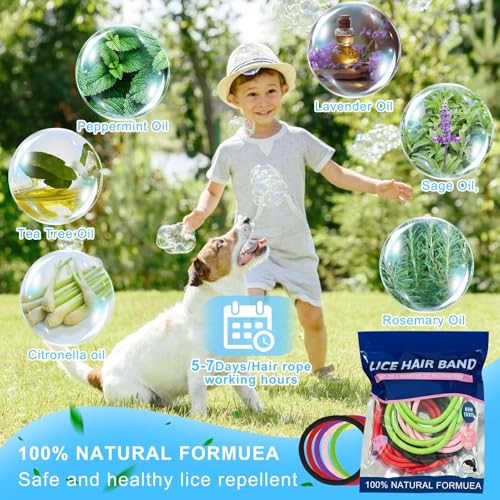 60 Stück Anti Laus Haargummi Set Mit Läusekamm Gegen Kopfläuse Buntes Elastisches Anti Läuse Haargummi Enthält Ätherische Öle Sicher Gesund Wirksam Läusemittel Kopfläuse