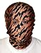 Seeksmile Unisex Lycra Spandex Zentai Hood Mask