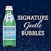S.Pellegrino Sparkling Natural Mineral Water, 8.45 fl oz. Glass Bottle (24 Count)