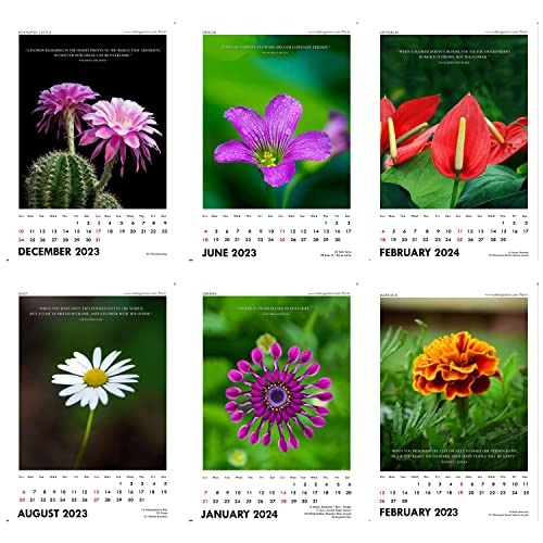 Image of Tallenge - Floral - 2023 Wall Calendar - 12 x 17 Inches for Home & Office (Paper, Wall Calendar)