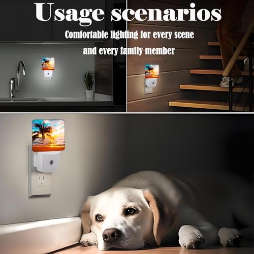 Image of Summer Sunshine Beach Night Light,Plug Into Wall Decor for Stairway,Hallway,Kitchen,Dusk to Dawn Sensor Nightlights for Boys /Girls /Women /Men Room Gifts