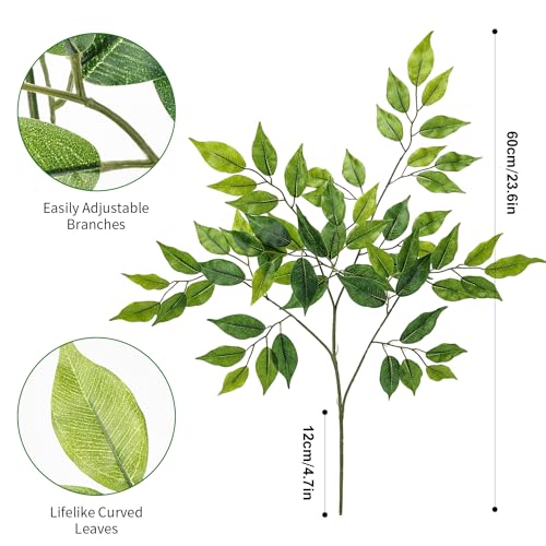 Comparativas de Ficus benjamina disponible en línea. 23 Imagen adicional