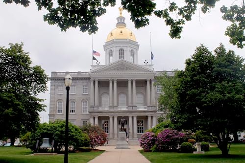 A N.H. Democrat proposed an income tax. The state's Libertarian Party issued a death threat