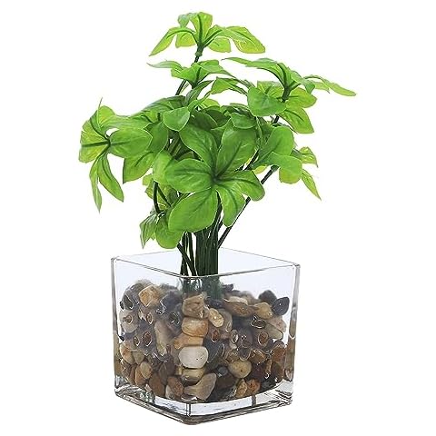 Jusdreen Artificial Potted Plants,Tabletop Greenery Artificial Plant with Clear Glass Pots and Cobblestones for Home Office Décor Cover