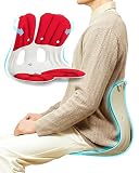 curble Chair [Adult], Ergonomic Chair Back Support, Lumbar Support for Good Posture Correction and B