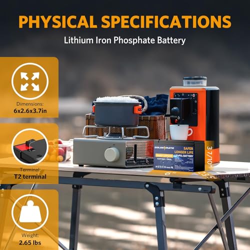 image for GOLDENMATE 12V 10Ah Lithium LiFePO4 Deep Cycle Battery, 5000+ Cycles R