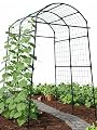 BAXAM Garden Trellis Arch 7FT PP-Coated Stainless Steel Metal Extra Tall Cucumber Trellis Arch Garden Arch Trellis for Climbing Plants Outdoor Vegetable Trellis with Trellis Netting