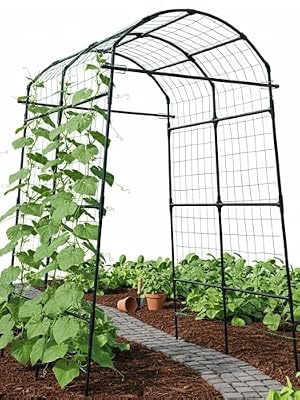 BAXAM Garden Trellis Arch 7FT PP-Coated Stainless Steel Metal Extra Tall Cucumber Trellis Arch Garden Arch Trellis for Climbing Plants Outdoor Vegetable Trellis with Trellis Netting