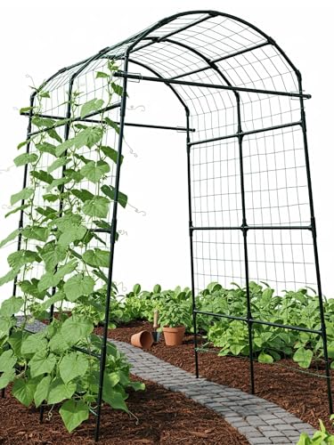 BAXAM Garden Trellis Arch 7FT PP-Coated Stainless Steel Metal Extra Tall Cucumber Trellis Arch Garden Arch Trellis for Climbing Plants Outdoor Vegetable Trellis with Trellis Netting