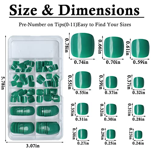 Addfavor 120Pcs False Toe Nails Green Glossy Press On Toenails Short Full Cover Square Fake Toenails Acrylic Nail Tips 12 Sizes For Women Girls #TOP5