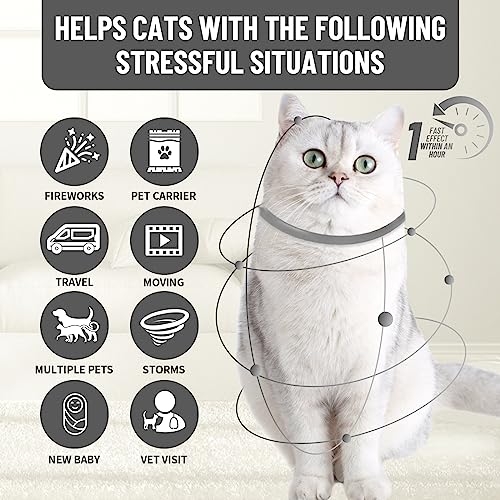 Gatti Collare Calmante, Luminoso Collari Calmanti