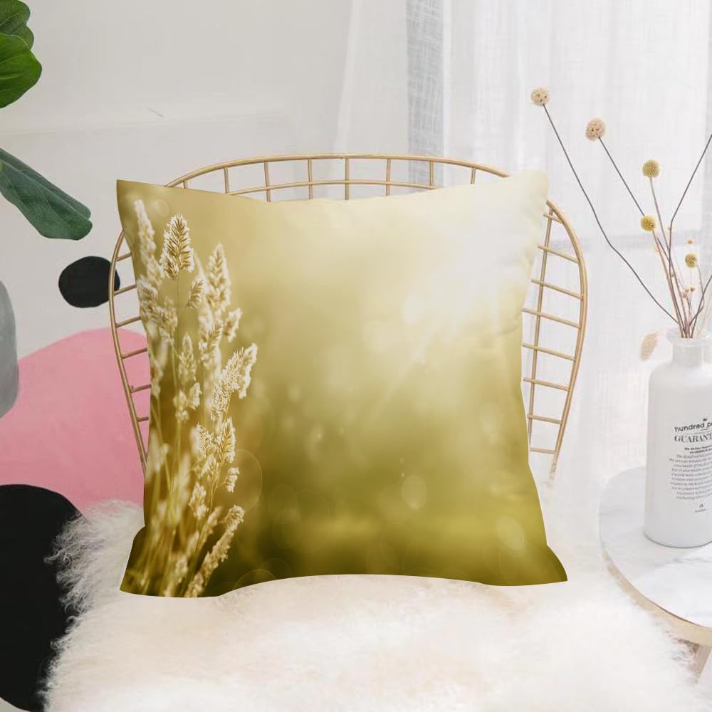 HYOSXW Cushion Cover,Throw Pillow Case Home Decorative for Living Room Bedroom Sofa Chair 16X16 Inch,Grassland, autumn grassland morning light, grassland, autumn,Pillowcase 40X40cm