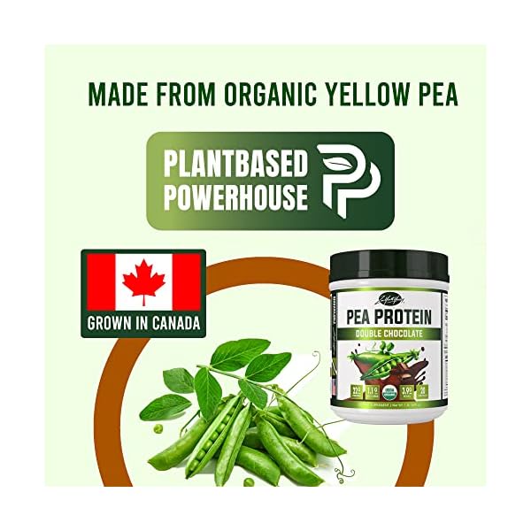 zyy Flavored Organic Hydrolyzed Vegan Pea Protein Powder All Natural