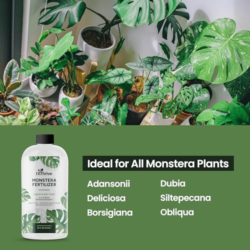 32oz Monstera Plant Food - Makes 192 Gallons of Monstera Fertilizer Indoor & Outdoor Use, Liquid Monstera Plant Fertilizer for Monstera Obliqua, Deliciosa & More, 6-2-4 NPK for Healthy Growth & Leaves - Image 6