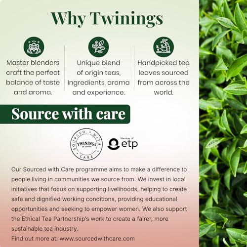 Image of Twinings Green Tea & Pomegranate, 25 Tea Bags| Pack of 1| Perfectly Balanced & Refreshing Taste| Light, Fruity Flavour| Low Calorie| Handpicked Green Tea Leaves| Enjoy as Hot or Iced Tea