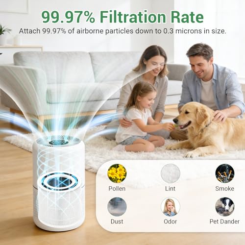 Image of 2 Pack Core 300 Replacement Filter, Compatible with Levoit Core 300, Core 300S Air Purifier, Compare to Core 300-RF models, 3-in-1 H13 True HEPA & Activated Carbon Filter, White